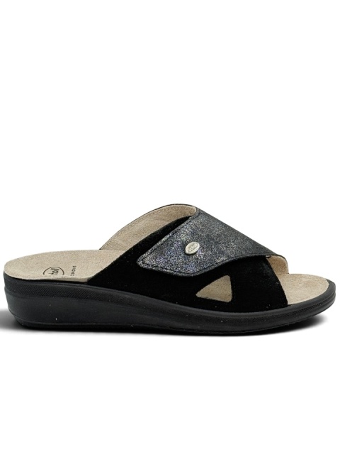 Scholl Antonia cross