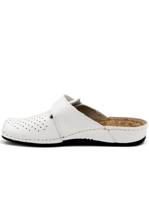 dr orto 179D010