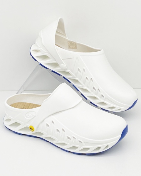 Scholl F29378 1065