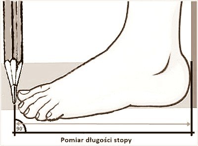 pomiar długości stopy